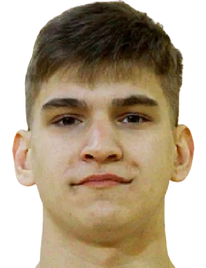 斯特潘·奥布里夫科夫头像