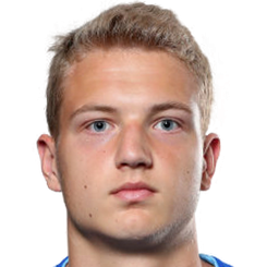 莱昂·希波什头像