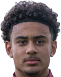 约阿希姆·威廉森头像