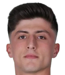 奥古赞·塞利克头像