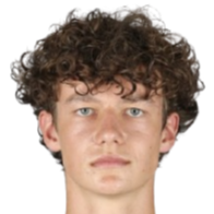 约纳斯·佩特里奇头像