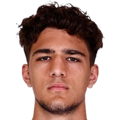 德米尔·萨勒卡勒头像