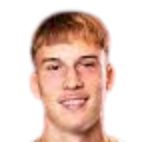 马克斯·德布鲁尔头像