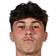 维克多·佐迪奇头像