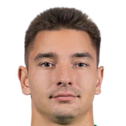 米哈伊尔·沃尔科夫头像