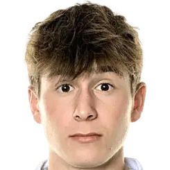 ​​维达尔松​​头像