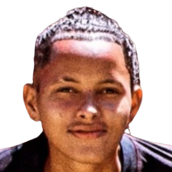 佩雷里尼亚头像