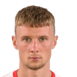 米哈尔·米纳尔头像