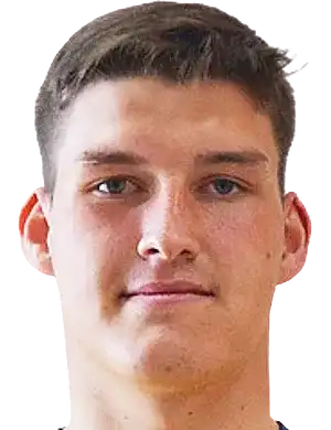 马克西姆·瓦菲耶夫头像