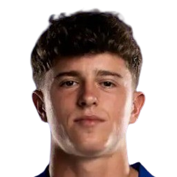 查尔斯·霍兰头像