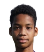 威赞·因纳兰头像