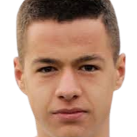 德利巴西奇头像