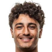 萨曼·亚莱伊头像