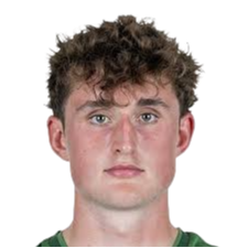 卢卡斯·彼得森头像