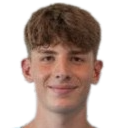 尼古拉·平图斯头像