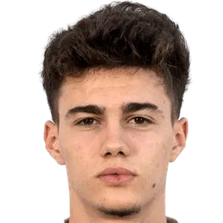 尼科拉·米图里基奇头像