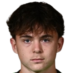 亚历山大·特韦尔波列博夫头像