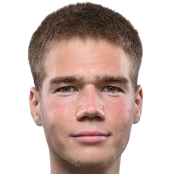 安德烈·霍达诺维奇头像