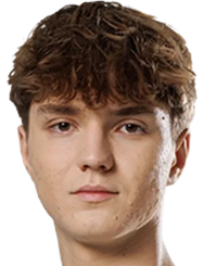 马丁纳斯·塞特库斯头像