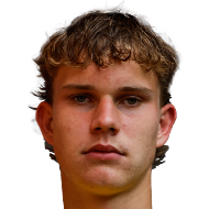 莱纳德·贝尔津斯头像