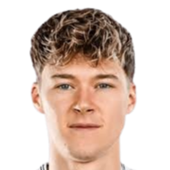 法比安·韦西格头像