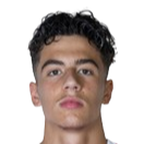 洛里斯·胡西奇头像