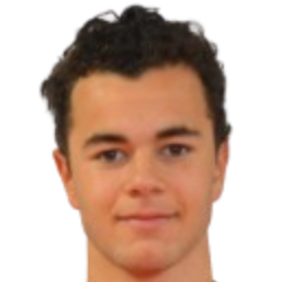 加布里埃尔·拉伊科维奇头像