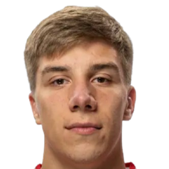 伊戈尔·德米特里耶夫头像