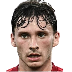 马泰奥·特拉莫尼头像