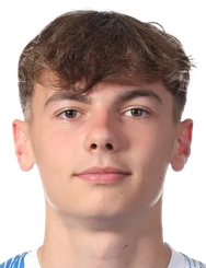 麦克·格沃戈夫斯基头像