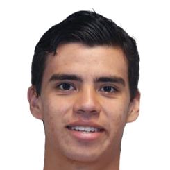 马里奥·阿纳亚头像