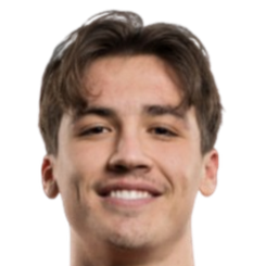 米兰·斯密特头像