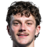 丹泽尔·德罗维头像