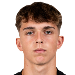 大卫·罗德里格斯头像