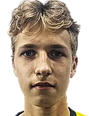 尼基塔·巴巴金头像