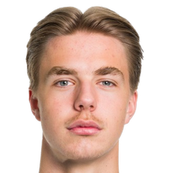 哈康·沃尔登头像