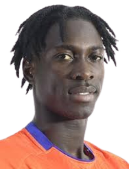 梅雷莱斯·因贾伊头像