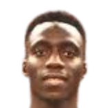 阿米杜·巴吉头像