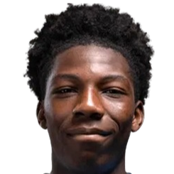 瑞安·麦凯杜头像