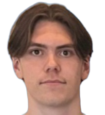 罗伯特·豪森头像