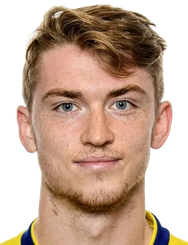 卡勒·约翰逊头像