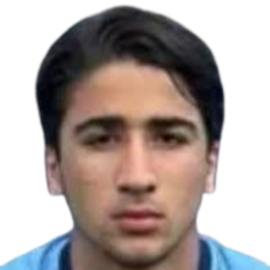 赛菲·埃费·伊尔加头像