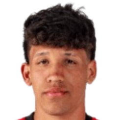 查理·维加斯头像