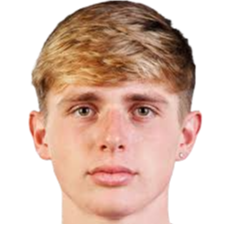 芬利·史蒂文斯头像