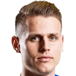 博扬·拉杜洛维奇头像