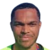 柯尔律治·富布勒头像