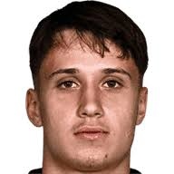 凯南·布苏拉季奇头像