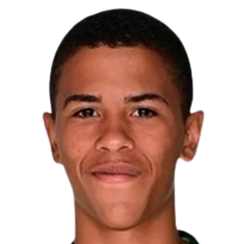 亚戈·索萨·德·桑塔纳头像