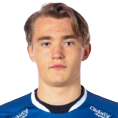 艾里克·路德维格·阿维德森头像