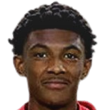 伊扎克·阿卡波头像